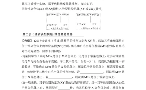 补上一课4基因位置的确认及遗传实验设计_新高考复习资料_2022年新高考复习资料_2022年一轮复习最新版_1.2022年高考生物一轮复习全国通用版_赠送word习题库_必修2