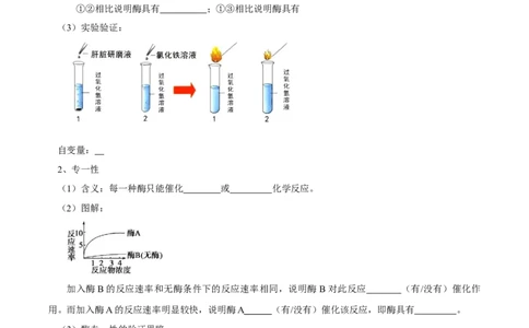 题型4与酶相关的实验设计与分析（核心知识）（原卷版）_新高考复习资料_2023年新高考复习资料_二轮复习_技巧点拨备战2023年高考生物二轮题型复习讲解286731240