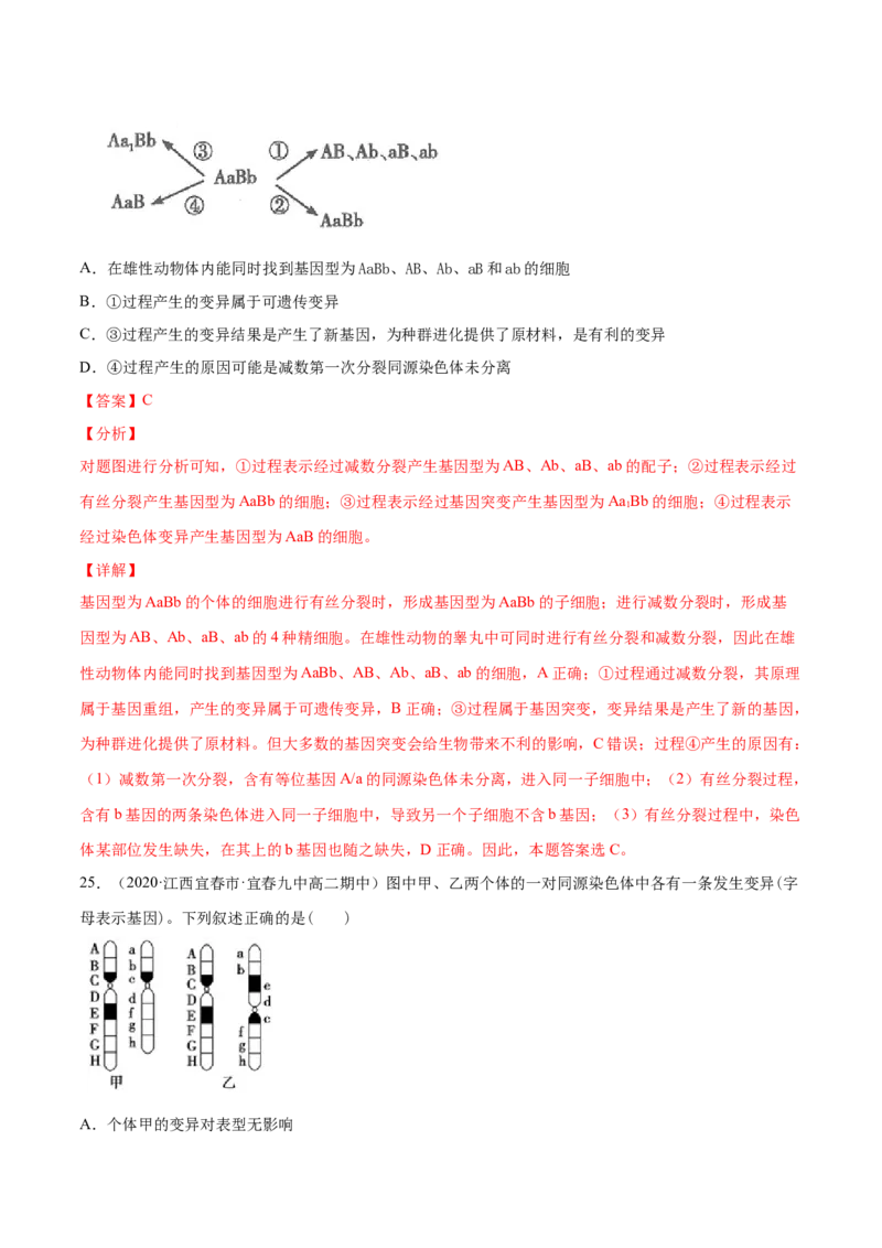 解密08有丝分裂和减数分裂（分层训练）（解析版）_新高考复习资料_2021年新高考资料_高频考点解密2021年高考生物二轮复习讲义+分层训练4.7更新
