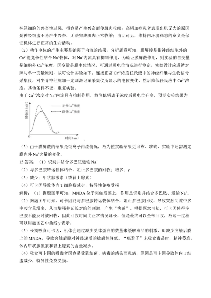 （16）神经调节&mdash;&mdash;2025届高考生物二轮复习易错重难提升学案（含解析）_2025年新高考资料_二轮复习_2025届高考生物二轮复习易错重难提升（含解析）