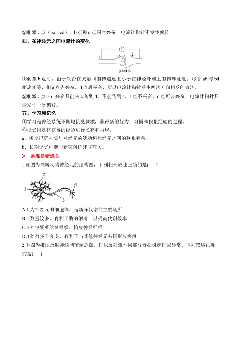 （16）神经调节&mdash;&mdash;2025届高考生物二轮复习易错重难提升学案（含解析）_2025年新高考资料_二轮复习_2025届高考生物二轮复习易错重难提升（含解析）