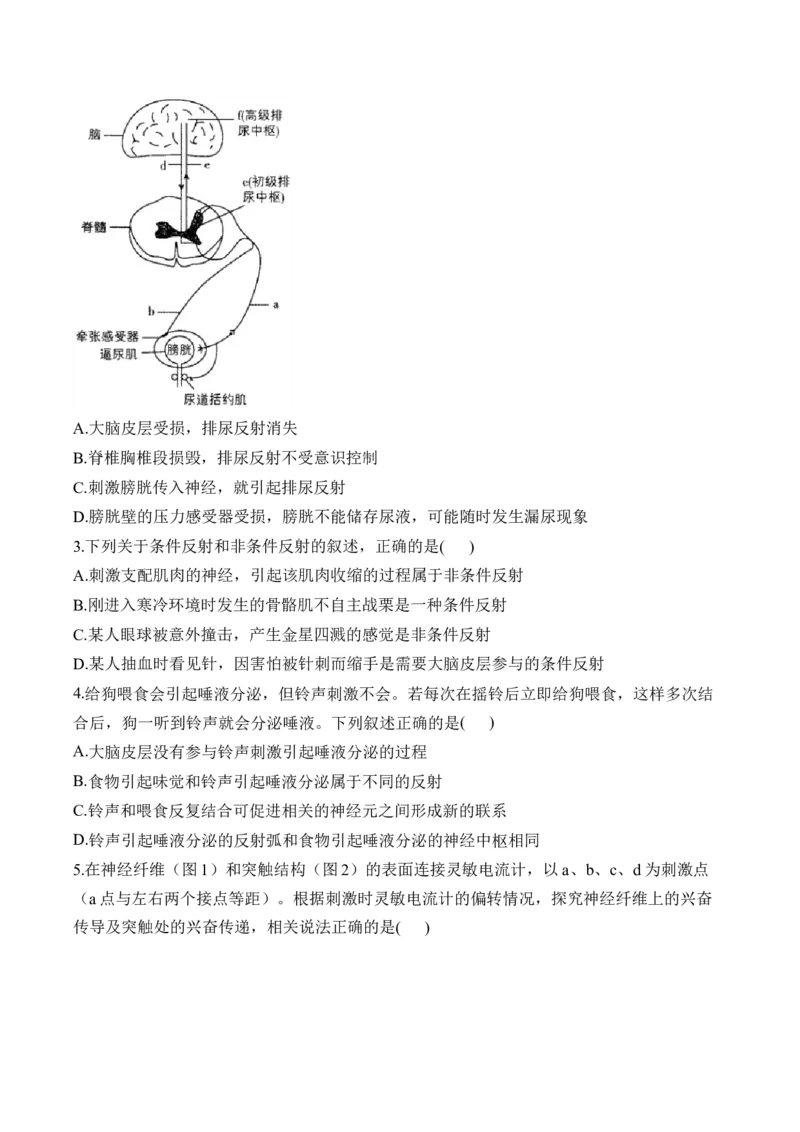 （16）神经调节&mdash;&mdash;2025届高考生物二轮复习易错重难提升学案（含解析）_2025年新高考资料_二轮复习_2025届高考生物二轮复习易错重难提升（含解析）