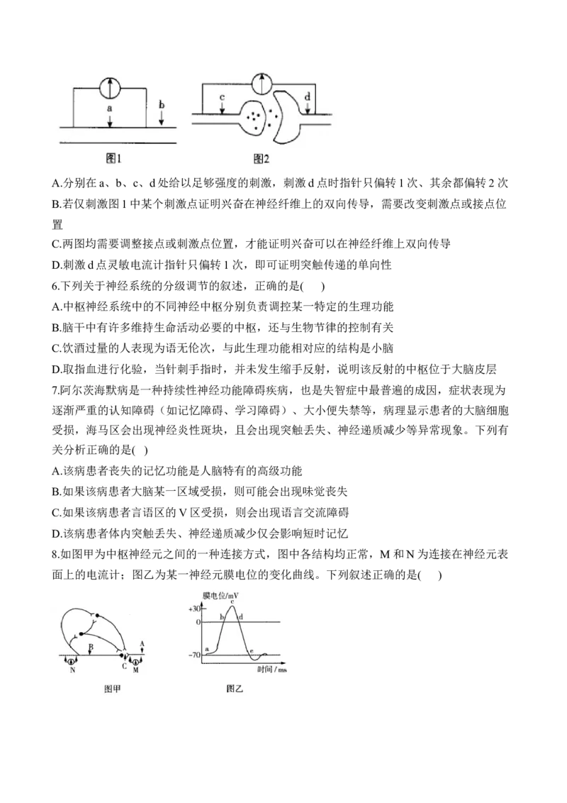 （16）神经调节&mdash;&mdash;2025届高考生物二轮复习易错重难提升学案（含解析）_2025年新高考资料_二轮复习_2025届高考生物二轮复习易错重难提升（含解析）