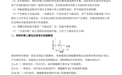 （16）神经调节&mdash;&mdash;2025届高考生物二轮复习易错重难提升学案（含解析）_2025年新高考资料_二轮复习_2025届高考生物二轮复习易错重难提升（含解析）