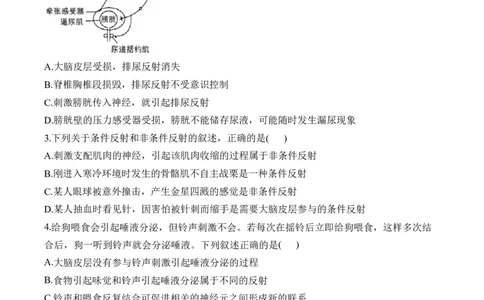 （16）神经调节&mdash;&mdash;2025届高考生物二轮复习易错重难提升学案（含解析）_2025年新高考资料_二轮复习_2025届高考生物二轮复习易错重难提升（含解析）