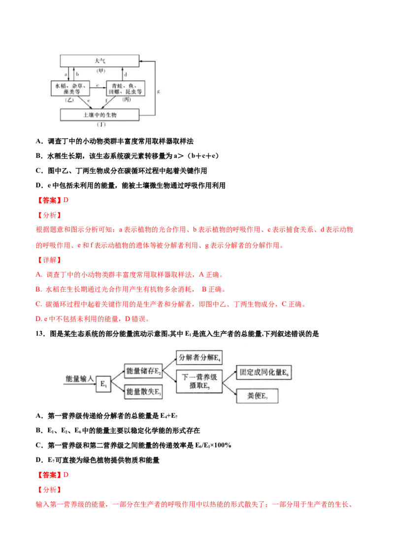 解密21生态系统的结构和功能（讲义）-高频考点解密2021年高考生物二轮复习讲义+分层训练_新高考复习资料_2021年新高考资料