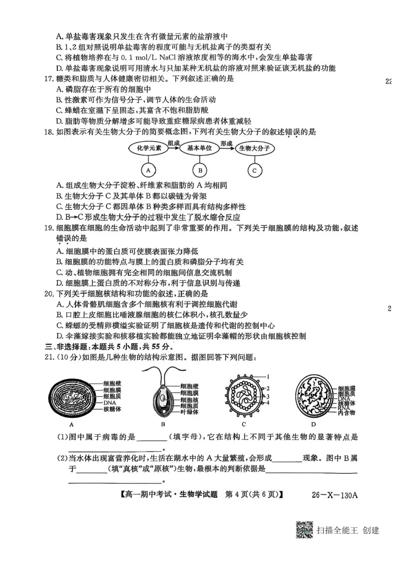 黑龙江省龙东十校联盟2025-2026学年高一上学期期中考试生物试题含答案_2025年11月高一试卷_251113黑龙江省龙东十校联盟2025-2026学年高一上学期期中考试