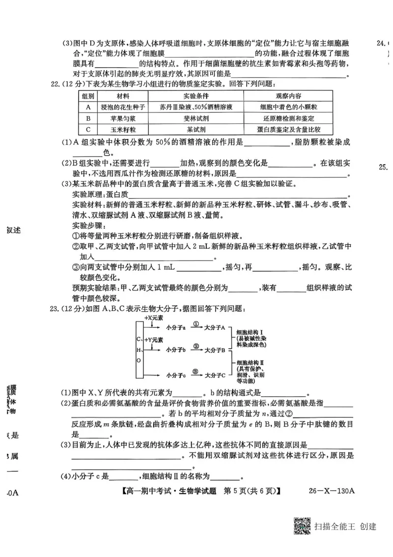 黑龙江省龙东十校联盟2025-2026学年高一上学期期中考试生物试题含答案_2025年11月高一试卷_251113黑龙江省龙东十校联盟2025-2026学年高一上学期期中考试