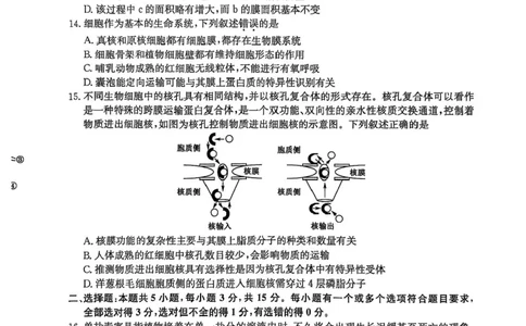 黑龙江省龙东十校联盟2025-2026学年高一上学期期中考试生物试题含答案_2025年11月高一试卷_251113黑龙江省龙东十校联盟2025-2026学年高一上学期期中考试