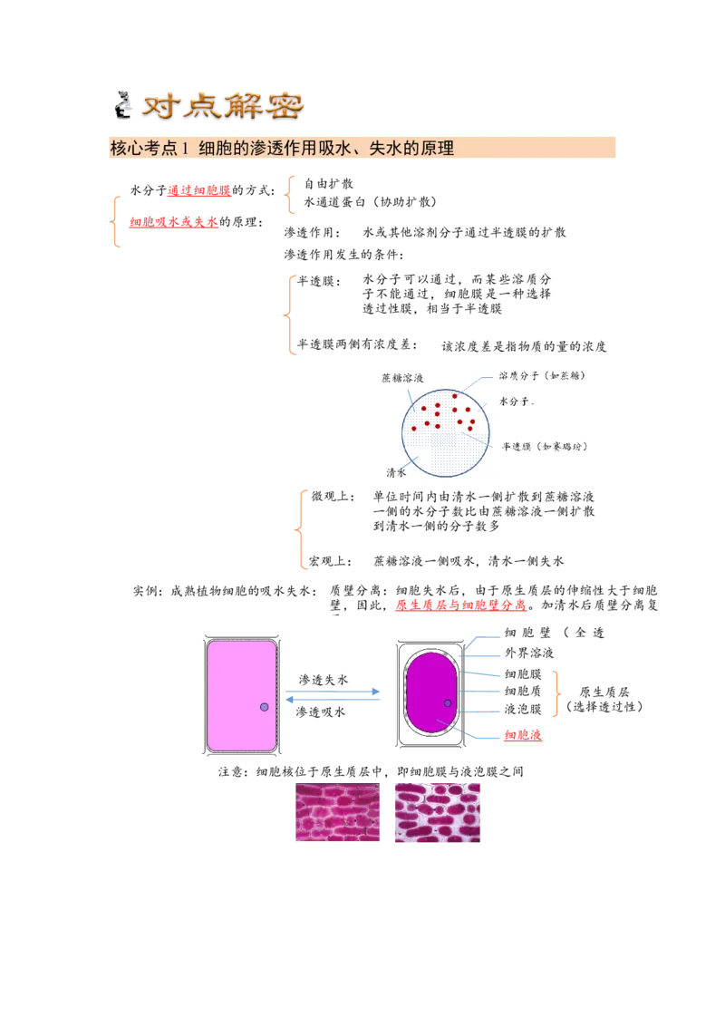 解密03细胞的物质输入和输出（讲义)（教师版）_通用版（老高考）复习资料_2023年复习资料_二轮复习_高频考点解密2023年高考生物二轮复习讲义+分层训练（全国通用）