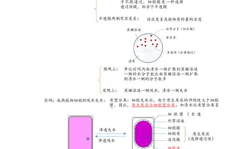 解密03细胞的物质输入和输出（讲义)（教师版）_通用版（老高考）复习资料_2023年复习资料_二轮复习_高频考点解密2023年高考生物二轮复习讲义+分层训练（全国通用）