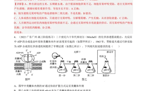解密04细胞的能量供应和利用（分层训练)（解析版）_通用版（老高考）复习资料_2023年复习资料_二轮复习_高频考点解密2023年高考生物二轮复习讲义+分层训练（全国通用）