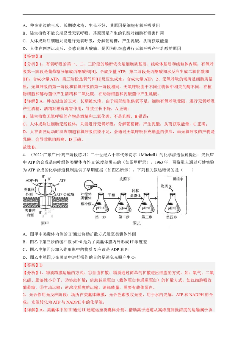 解密04细胞的能量供应和利用（分层训练)（解析版）_通用版（老高考）复习资料_2023年复习资料_二轮复习_高频考点解密2023年高考生物二轮复习讲义+分层训练（全国通用）