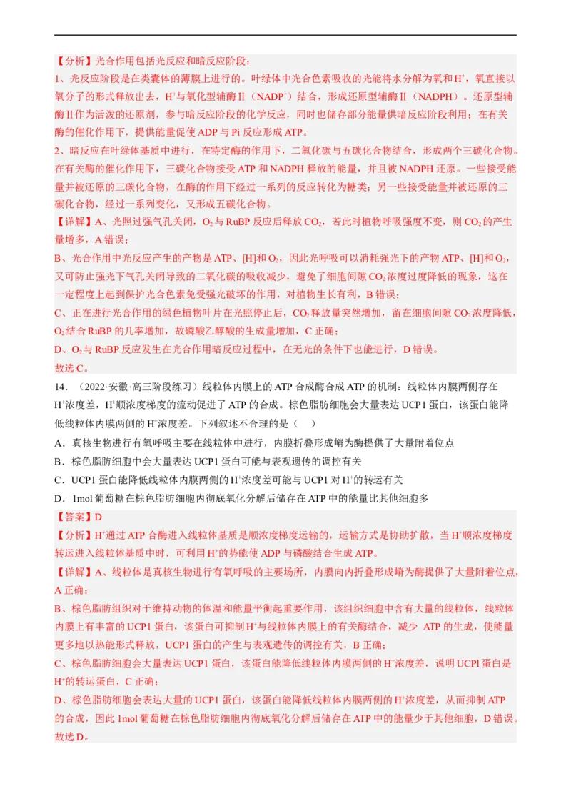 解密04细胞的能量供应和利用（分层训练)（解析版）_通用版（老高考）复习资料_2023年复习资料_二轮复习_高频考点解密2023年高考生物二轮复习讲义+分层训练（全国通用）