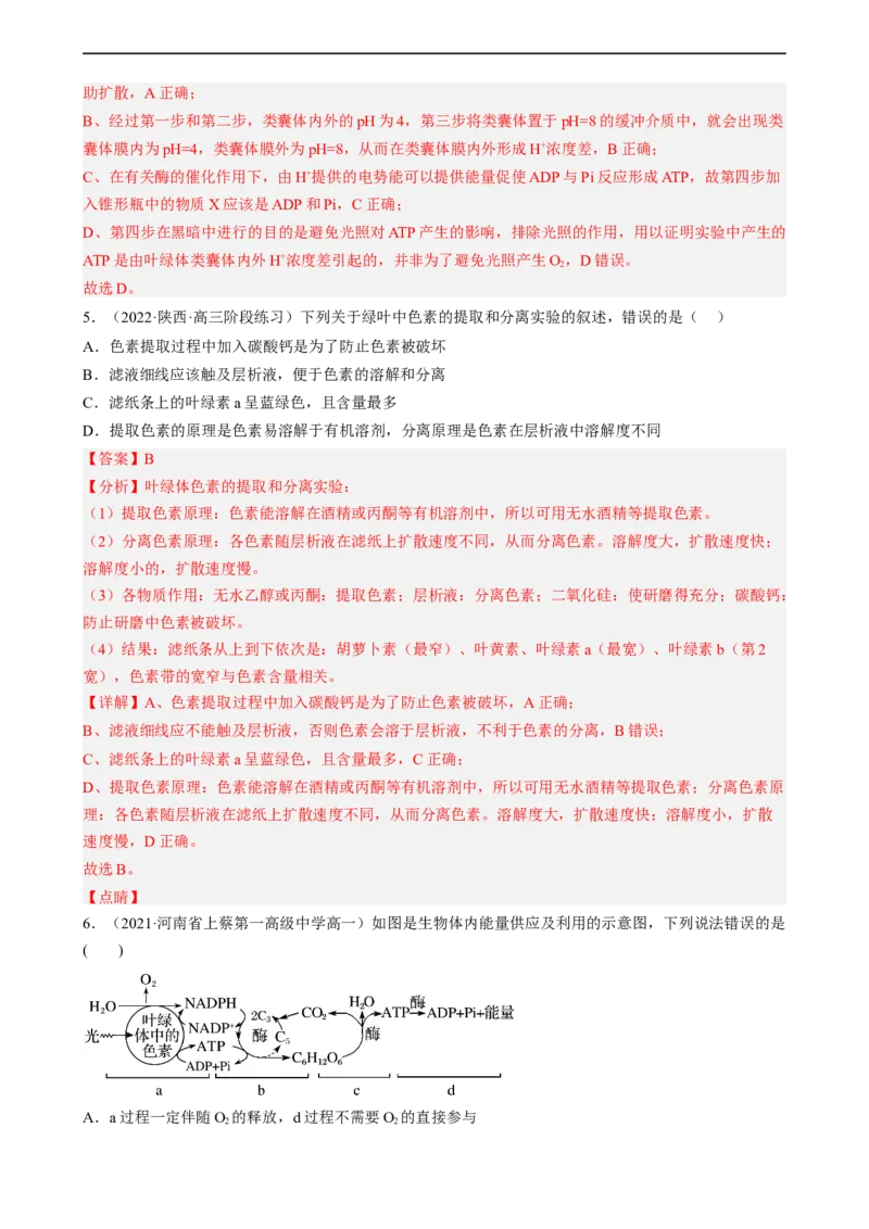 解密04细胞的能量供应和利用（分层训练)（解析版）_通用版（老高考）复习资料_2023年复习资料_二轮复习_高频考点解密2023年高考生物二轮复习讲义+分层训练（全国通用）