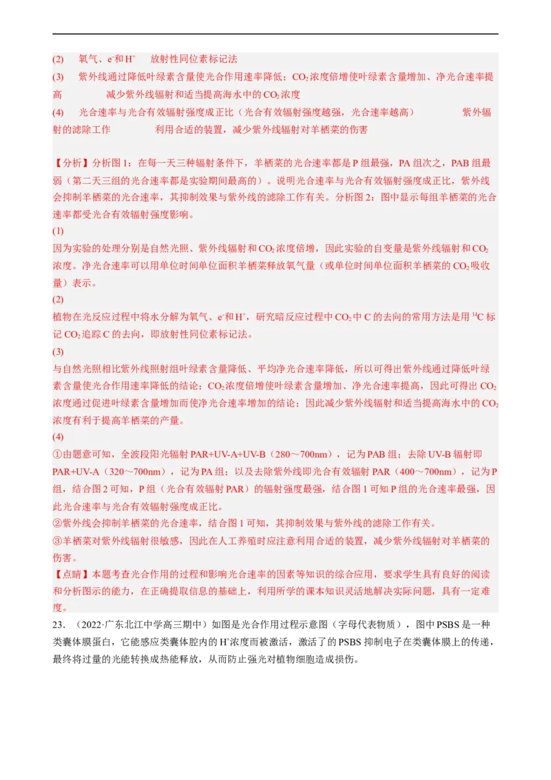 解密04细胞的能量供应和利用（分层训练)（解析版）_通用版（老高考）复习资料_2023年复习资料_二轮复习_高频考点解密2023年高考生物二轮复习讲义+分层训练（全国通用）