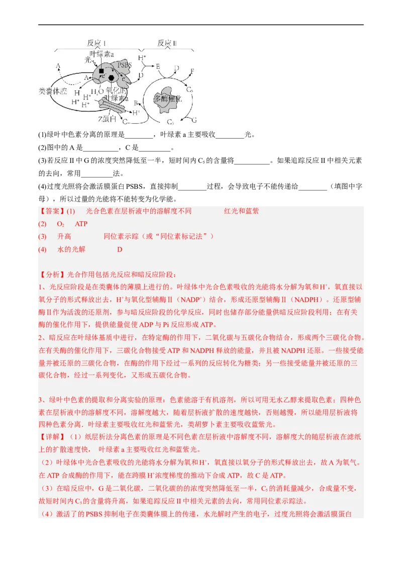 解密04细胞的能量供应和利用（分层训练)（解析版）_通用版（老高考）复习资料_2023年复习资料_二轮复习_高频考点解密2023年高考生物二轮复习讲义+分层训练（全国通用）