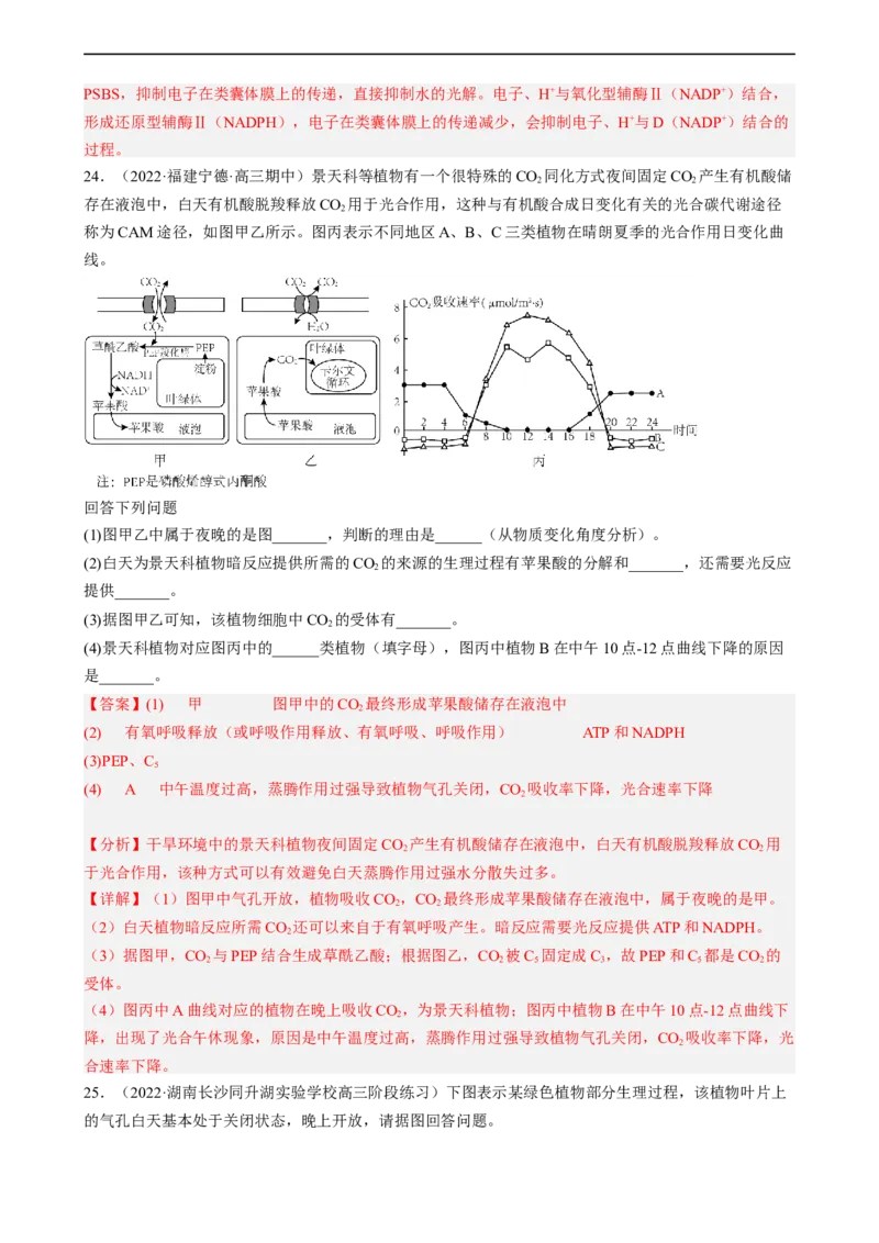 解密04细胞的能量供应和利用（分层训练)（解析版）_通用版（老高考）复习资料_2023年复习资料_二轮复习_高频考点解密2023年高考生物二轮复习讲义+分层训练（全国通用）