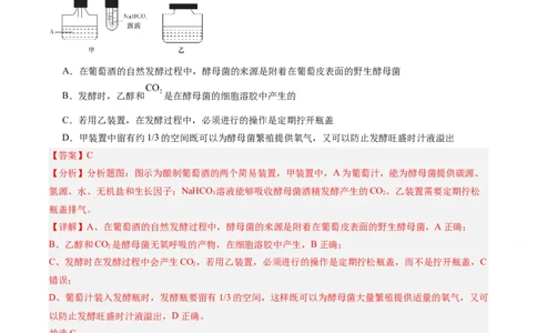 考点通关卷34发酵工程（解析版）_2025年新高考资料_一轮复习_2025年高考生物一轮复习考点通关卷（新高考通用）