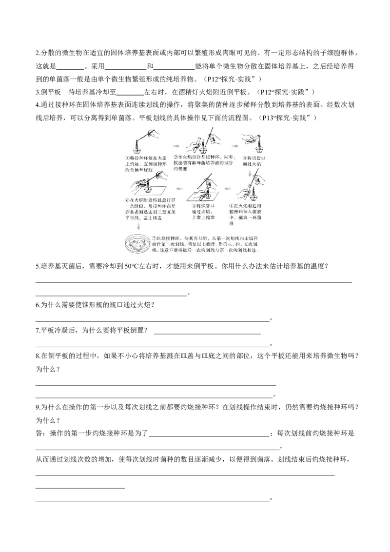考点通关卷34发酵工程（解析版）_2025年新高考资料_一轮复习_2025年高考生物一轮复习考点通关卷（新高考通用）