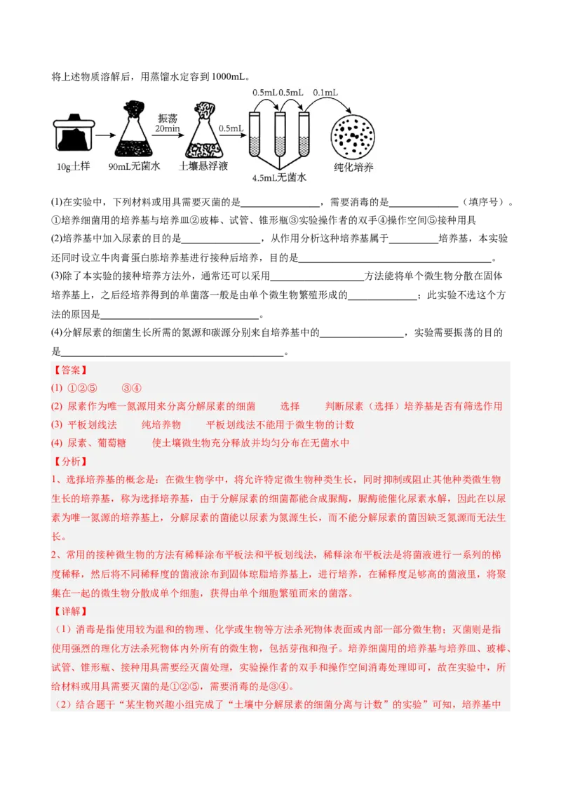 考点通关卷34发酵工程（解析版）_2025年新高考资料_一轮复习_2025年高考生物一轮复习考点通关卷（新高考通用）