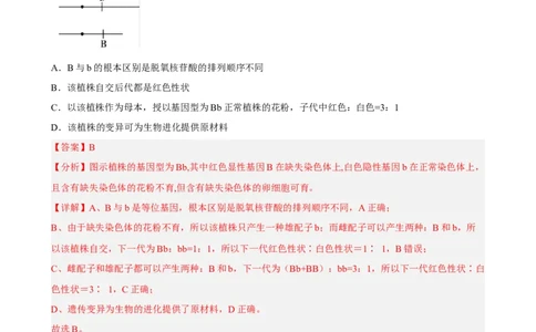 解密06遗传的基本规律（分层训练)（解析版）_新高考复习资料_2023年新高考复习资料_二轮复习_高频考点解密2023年高考生物二轮复习讲义+分层训练（全国通用）288808838