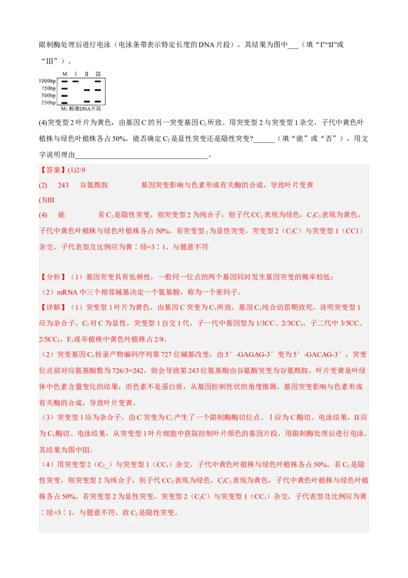 解密06遗传的基本规律（分层训练)（解析版）_新高考复习资料_2023年新高考复习资料_二轮复习_高频考点解密2023年高考生物二轮复习讲义+分层训练（全国通用）288808838