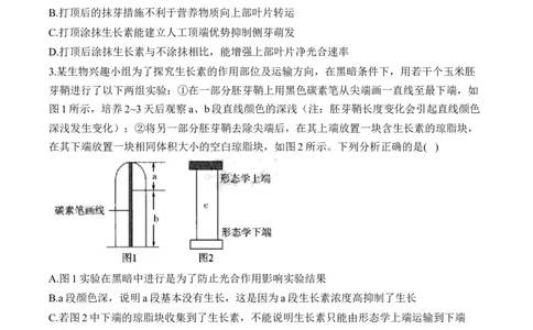 （19）植物的激素调节&mdash;&mdash;2025届高考生物二轮复习易错重难提升学案（含解析）_2025年新高考资料_二轮复习_2025届高考生物二轮复习易错重难提升（含解析）