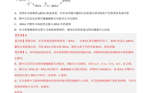 解密08遗传的分子学基础（分层训练)（解析版）_新高考复习资料_2023年新高考复习资料_二轮复习_高频考点解密2023年高考生物二轮复习讲义+分层训练（全国通用）288808838