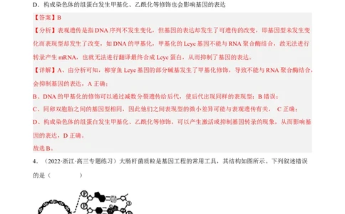 解密08遗传的分子学基础（分层训练)（解析版）_新高考复习资料_2023年新高考复习资料_二轮复习_高频考点解密2023年高考生物二轮复习讲义+分层训练（全国通用）288808838