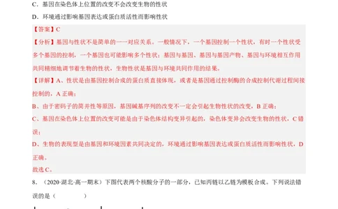 解密08遗传的分子学基础（分层训练)（解析版）_新高考复习资料_2023年新高考复习资料_二轮复习_高频考点解密2023年高考生物二轮复习讲义+分层训练（全国通用）288808838