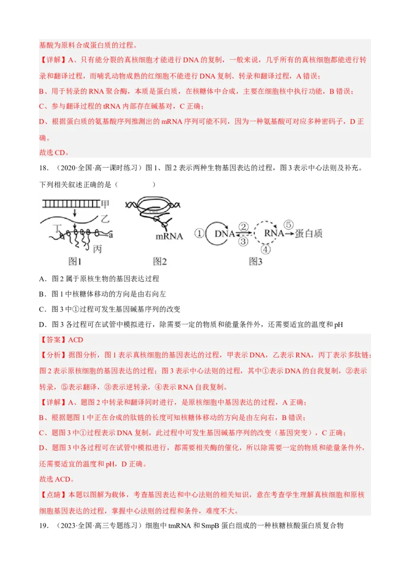 解密08遗传的分子学基础（分层训练)（解析版）_新高考复习资料_2023年新高考复习资料_二轮复习_高频考点解密2023年高考生物二轮复习讲义+分层训练（全国通用）288808838