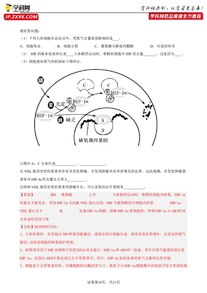 解密08遗传的分子学基础（分层训练)（解析版）_新高考复习资料_2023年新高考复习资料_二轮复习_高频考点解密2023年高考生物二轮复习讲义+分层训练（全国通用）288808838
