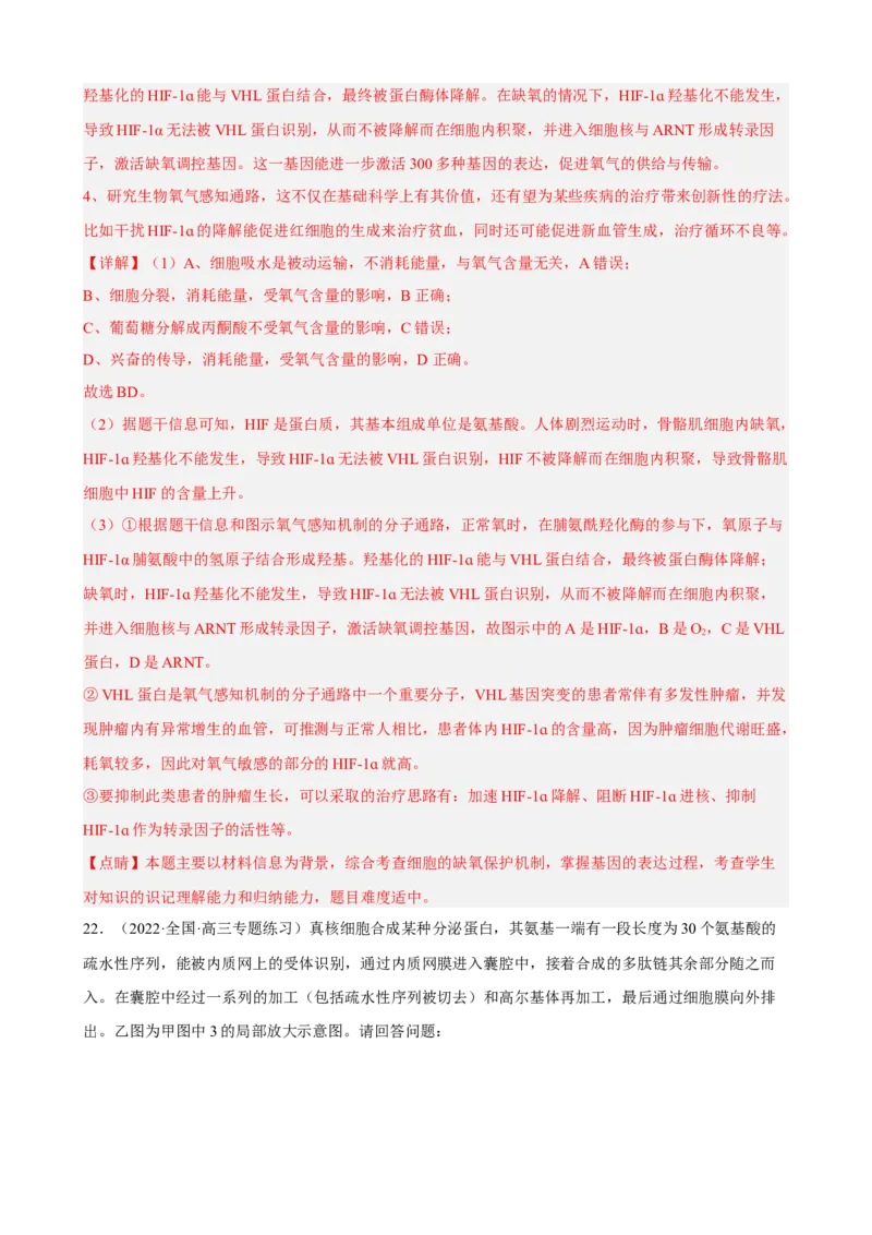 解密08遗传的分子学基础（分层训练)（解析版）_新高考复习资料_2023年新高考复习资料_二轮复习_高频考点解密2023年高考生物二轮复习讲义+分层训练（全国通用）288808838