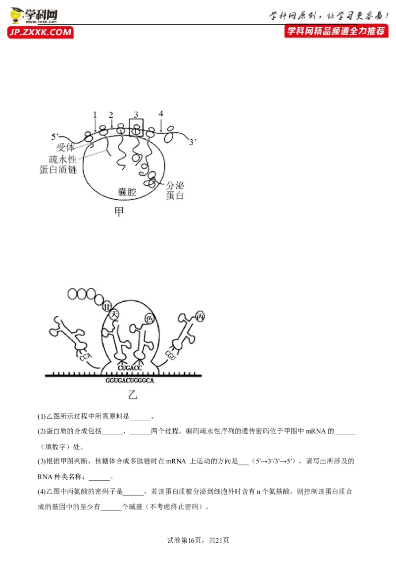解密08遗传的分子学基础（分层训练)（解析版）_新高考复习资料_2023年新高考复习资料_二轮复习_高频考点解密2023年高考生物二轮复习讲义+分层训练（全国通用）288808838
