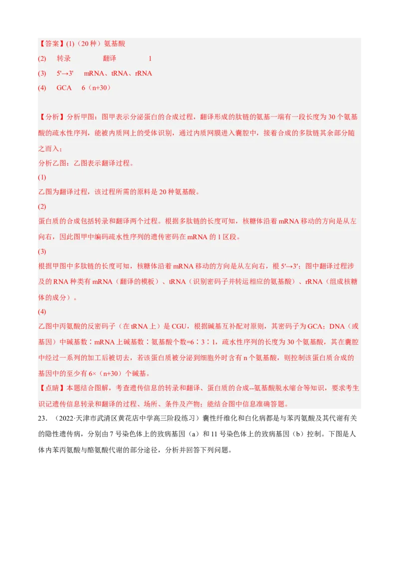 解密08遗传的分子学基础（分层训练)（解析版）_新高考复习资料_2023年新高考复习资料_二轮复习_高频考点解密2023年高考生物二轮复习讲义+分层训练（全国通用）288808838