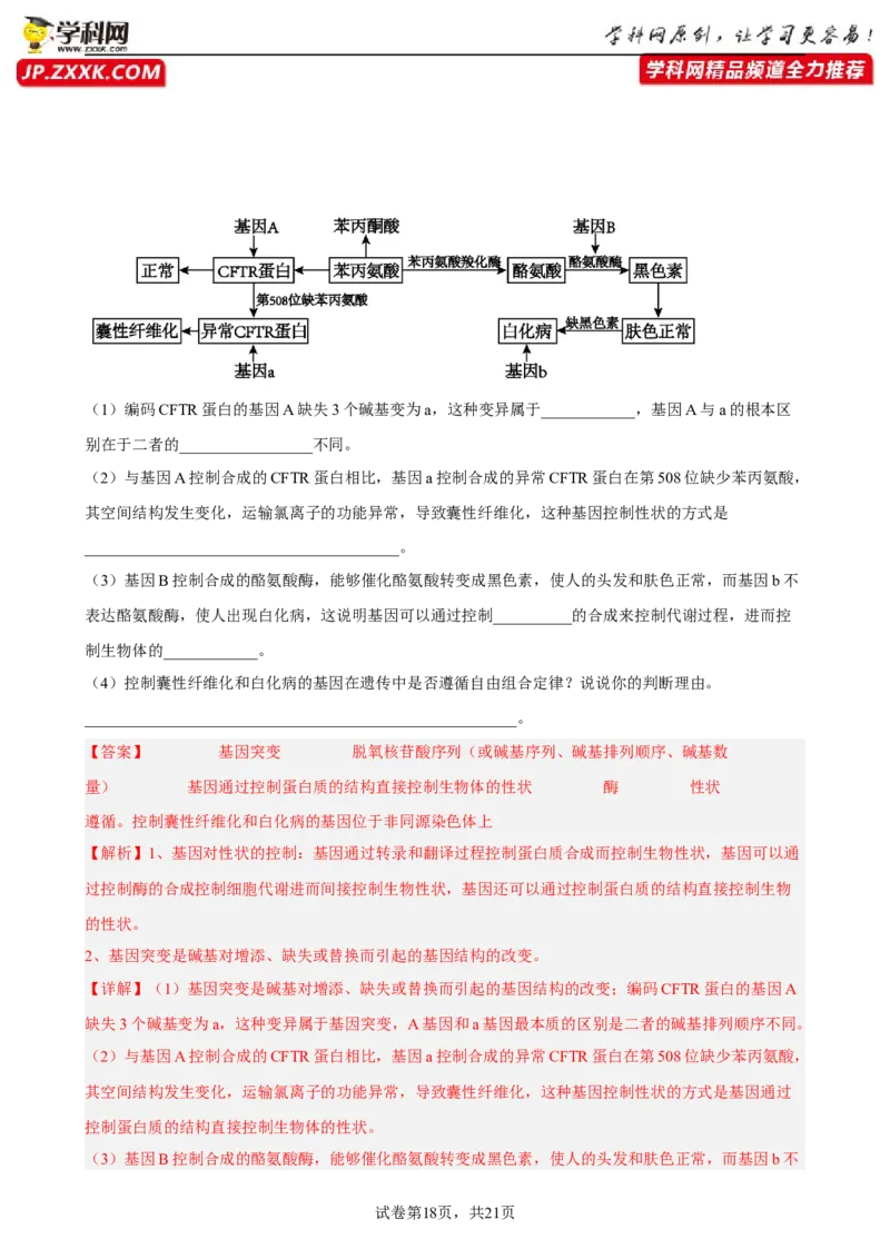 解密08遗传的分子学基础（分层训练)（解析版）_新高考复习资料_2023年新高考复习资料_二轮复习_高频考点解密2023年高考生物二轮复习讲义+分层训练（全国通用）288808838