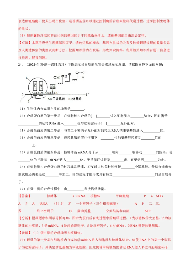 解密08遗传的分子学基础（分层训练)（解析版）_新高考复习资料_2023年新高考复习资料_二轮复习_高频考点解密2023年高考生物二轮复习讲义+分层训练（全国通用）288808838