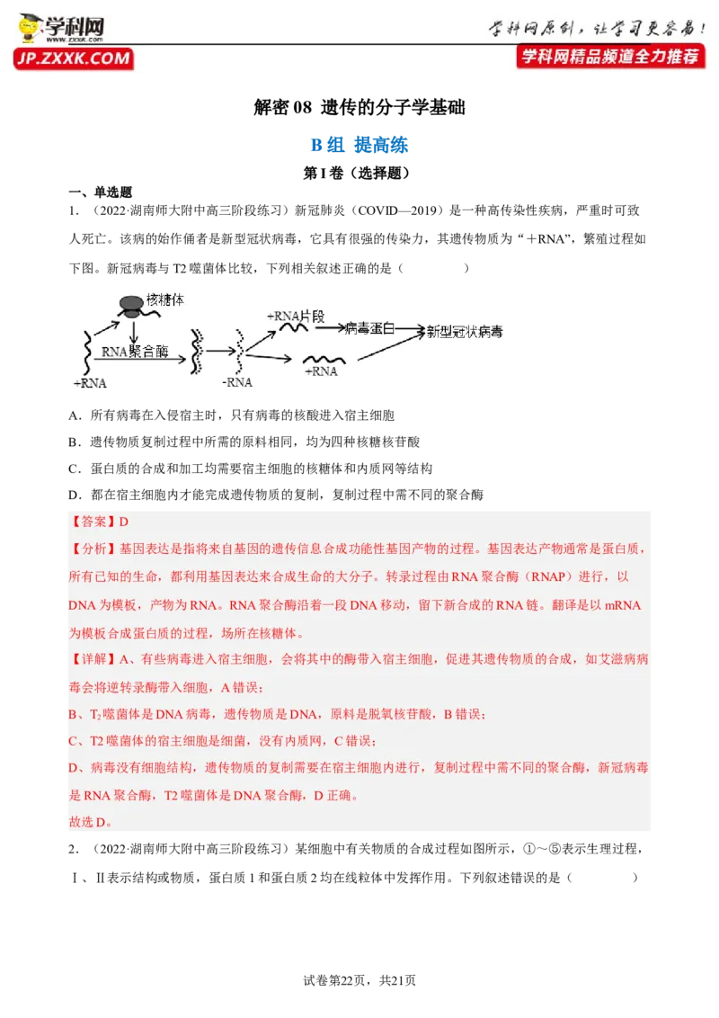 解密08遗传的分子学基础（分层训练)（解析版）_新高考复习资料_2023年新高考复习资料_二轮复习_高频考点解密2023年高考生物二轮复习讲义+分层训练（全国通用）288808838