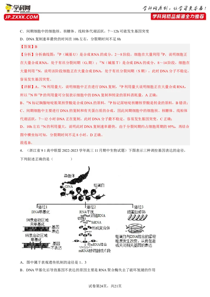 解密08遗传的分子学基础（分层训练)（解析版）_新高考复习资料_2023年新高考复习资料_二轮复习_高频考点解密2023年高考生物二轮复习讲义+分层训练（全国通用）288808838