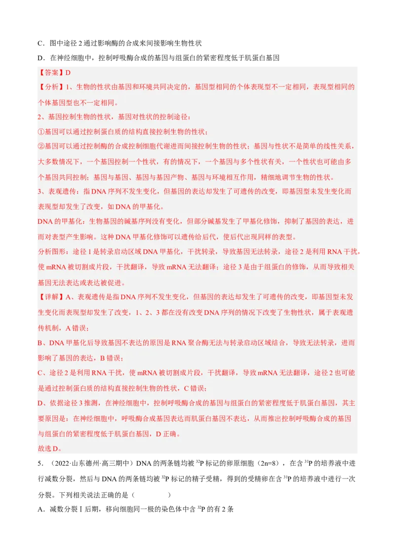 解密08遗传的分子学基础（分层训练)（解析版）_新高考复习资料_2023年新高考复习资料_二轮复习_高频考点解密2023年高考生物二轮复习讲义+分层训练（全国通用）288808838