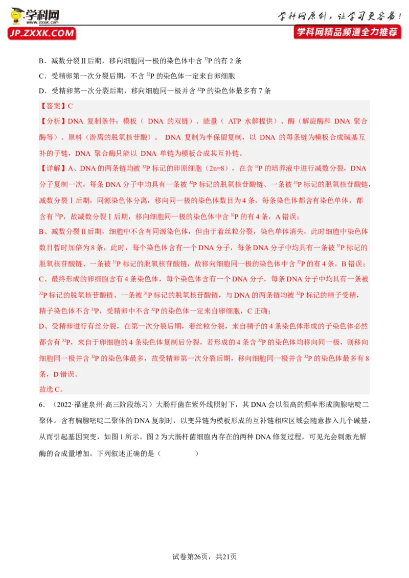 解密08遗传的分子学基础（分层训练)（解析版）_新高考复习资料_2023年新高考复习资料_二轮复习_高频考点解密2023年高考生物二轮复习讲义+分层训练（全国通用）288808838