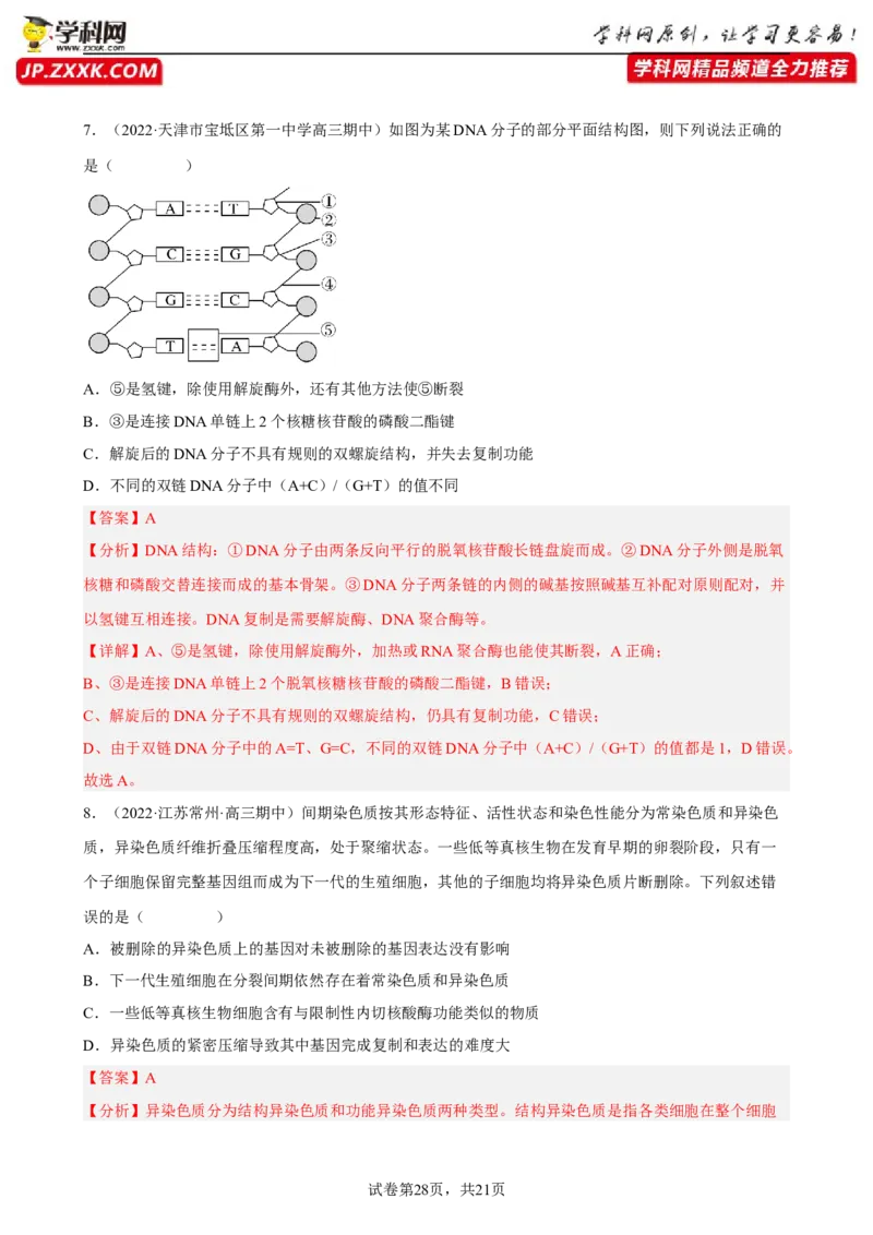 解密08遗传的分子学基础（分层训练)（解析版）_新高考复习资料_2023年新高考复习资料_二轮复习_高频考点解密2023年高考生物二轮复习讲义+分层训练（全国通用）288808838