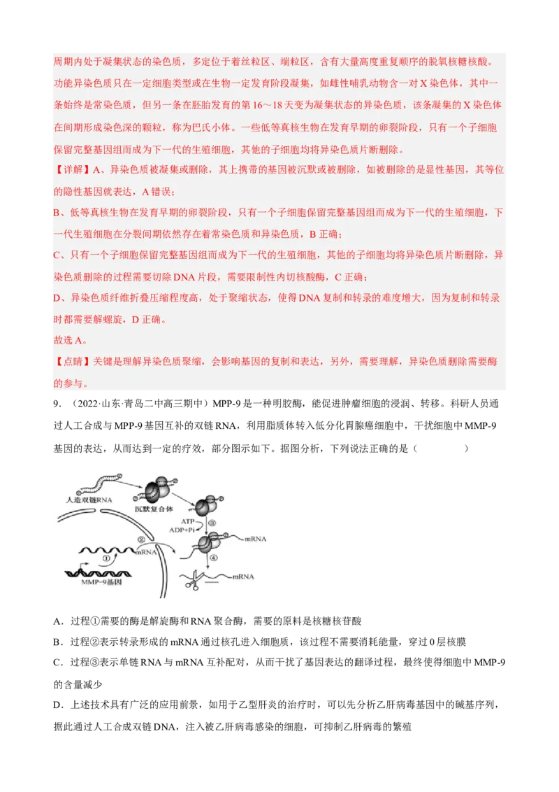 解密08遗传的分子学基础（分层训练)（解析版）_新高考复习资料_2023年新高考复习资料_二轮复习_高频考点解密2023年高考生物二轮复习讲义+分层训练（全国通用）288808838