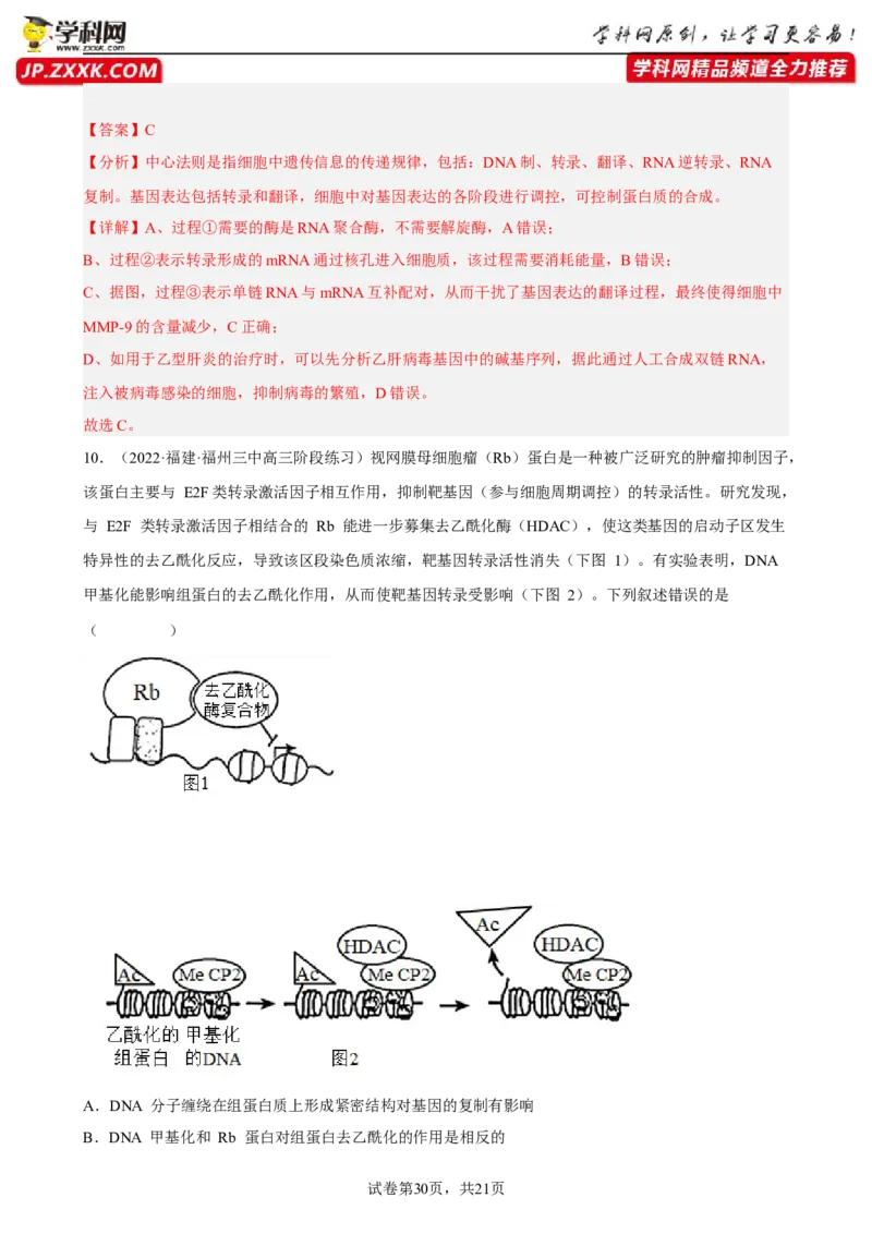 解密08遗传的分子学基础（分层训练)（解析版）_新高考复习资料_2023年新高考复习资料_二轮复习_高频考点解密2023年高考生物二轮复习讲义+分层训练（全国通用）288808838