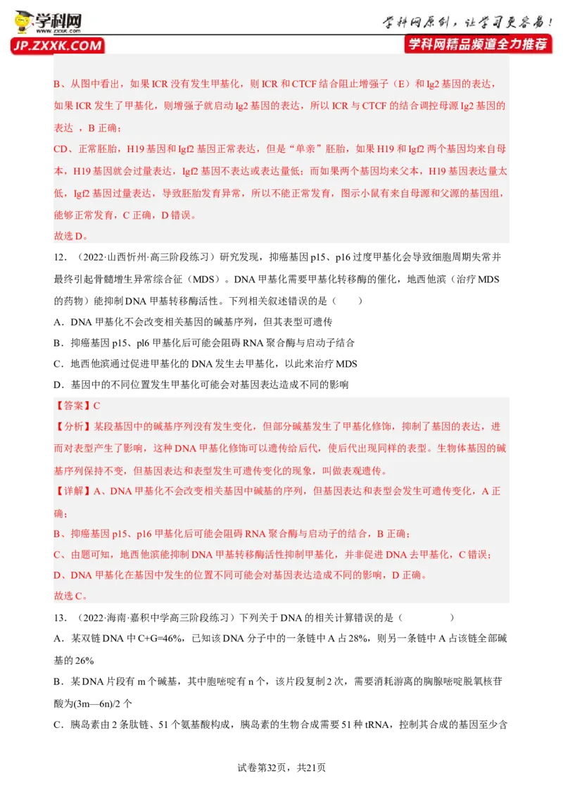 解密08遗传的分子学基础（分层训练)（解析版）_新高考复习资料_2023年新高考复习资料_二轮复习_高频考点解密2023年高考生物二轮复习讲义+分层训练（全国通用）288808838