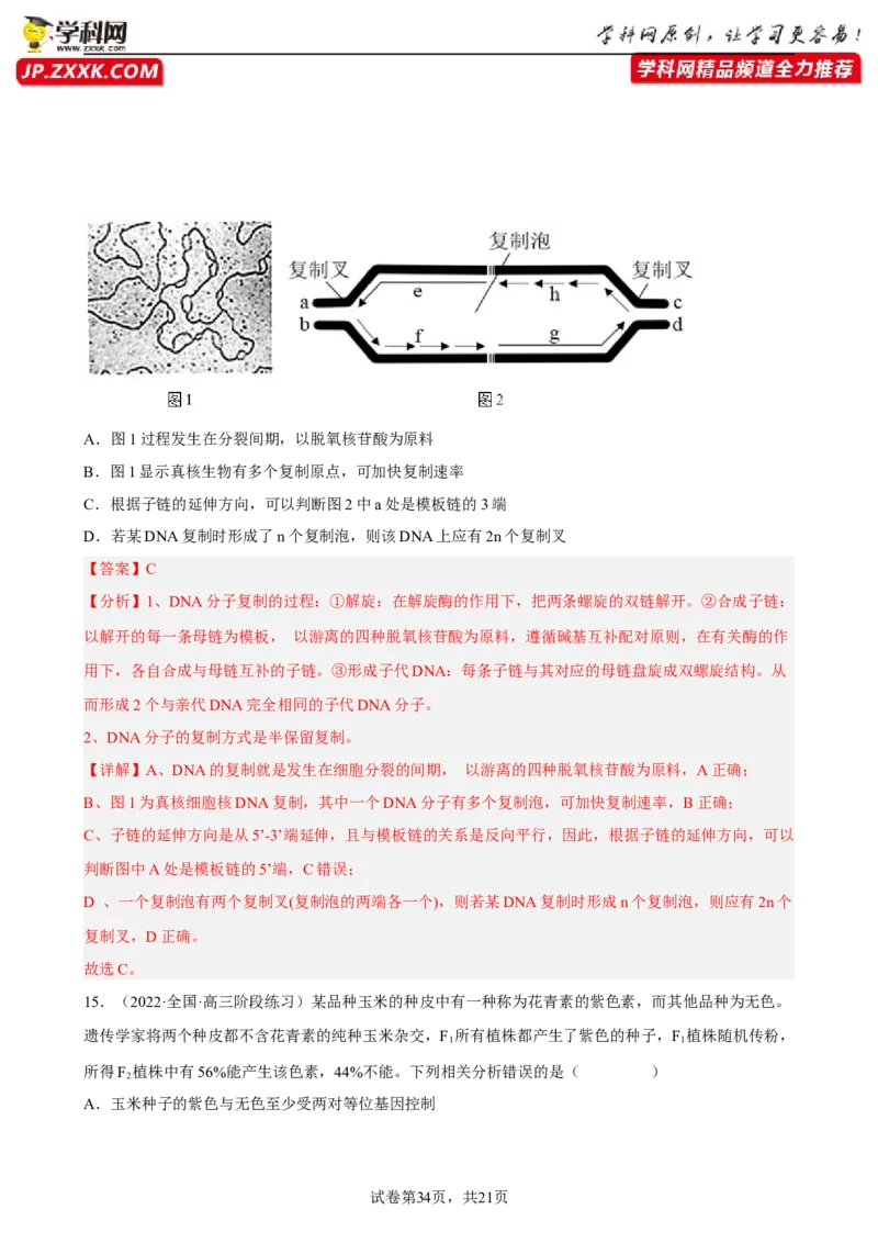 解密08遗传的分子学基础（分层训练)（解析版）_新高考复习资料_2023年新高考复习资料_二轮复习_高频考点解密2023年高考生物二轮复习讲义+分层训练（全国通用）288808838