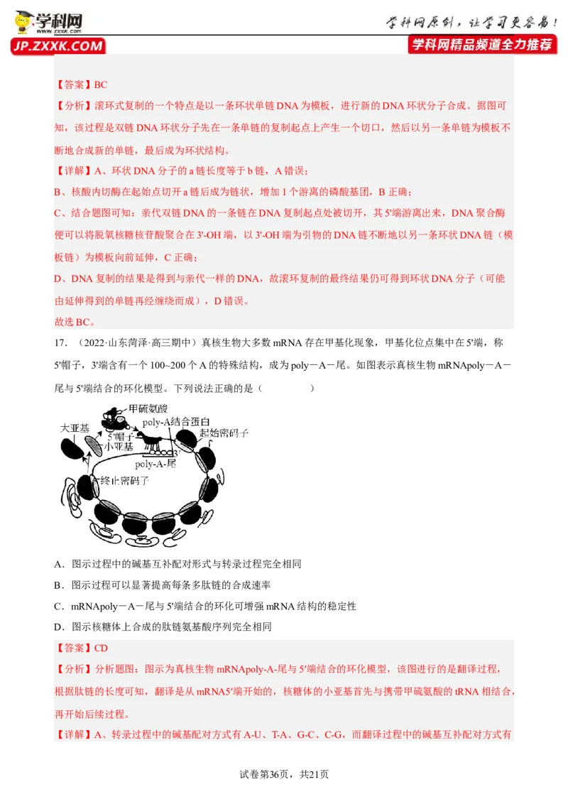 解密08遗传的分子学基础（分层训练)（解析版）_新高考复习资料_2023年新高考复习资料_二轮复习_高频考点解密2023年高考生物二轮复习讲义+分层训练（全国通用）288808838