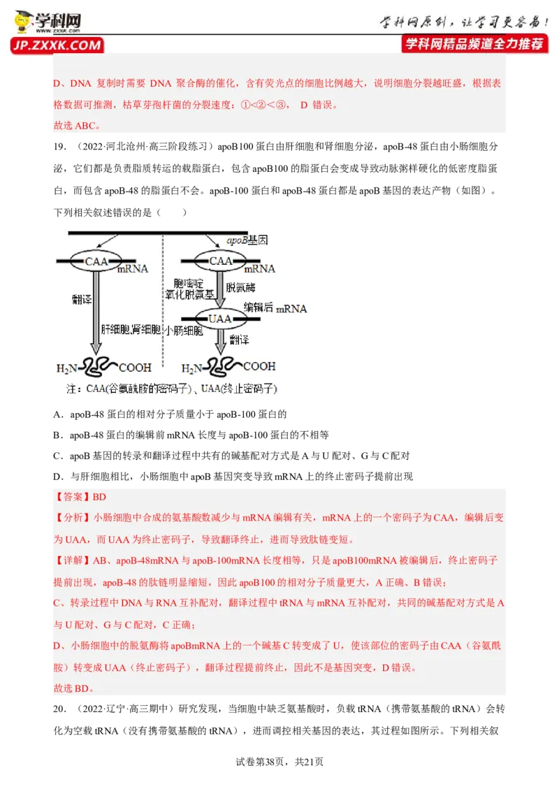 解密08遗传的分子学基础（分层训练)（解析版）_新高考复习资料_2023年新高考复习资料_二轮复习_高频考点解密2023年高考生物二轮复习讲义+分层训练（全国通用）288808838