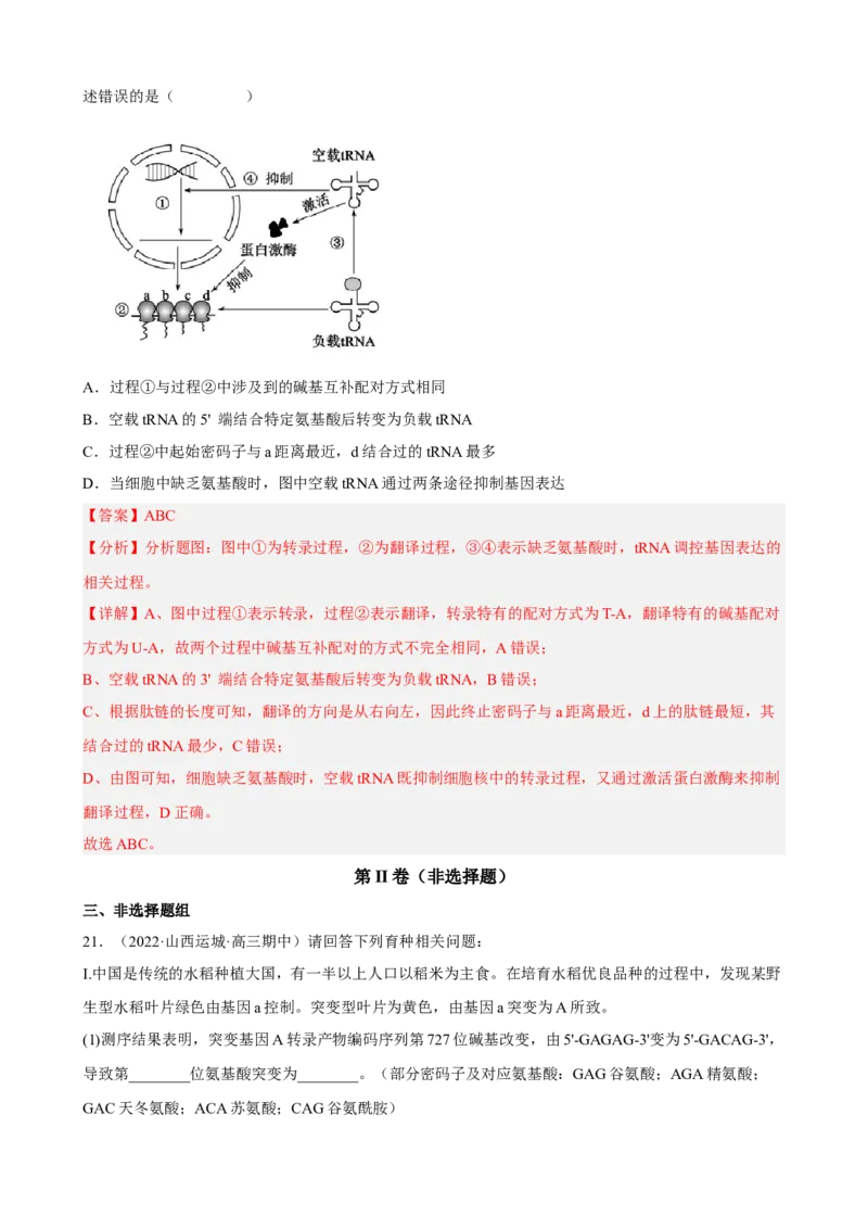 解密08遗传的分子学基础（分层训练)（解析版）_新高考复习资料_2023年新高考复习资料_二轮复习_高频考点解密2023年高考生物二轮复习讲义+分层训练（全国通用）288808838